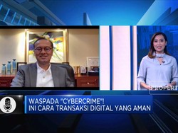 Waspada "Cybercrime" di Transaksi Digital Perbankan