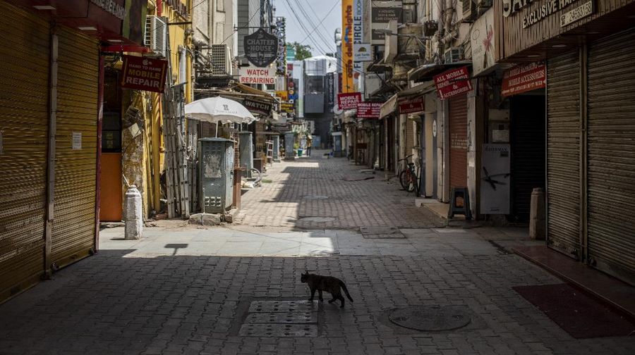 A cat walks in a deserted market area during a weekend lockdown in New Delhi, India, Saturday, April 17, 2021. Over 200,000 new infections were detected in the past 24 hours, and major cities, like Mumbai and New Delhi, are under virus restrictions. (AP Photo/Altaf Qadri)