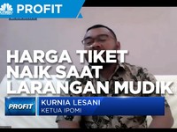 IPOMI Dorong Kenaikan Harga Tiket Jelang Larangan Mudik 2021