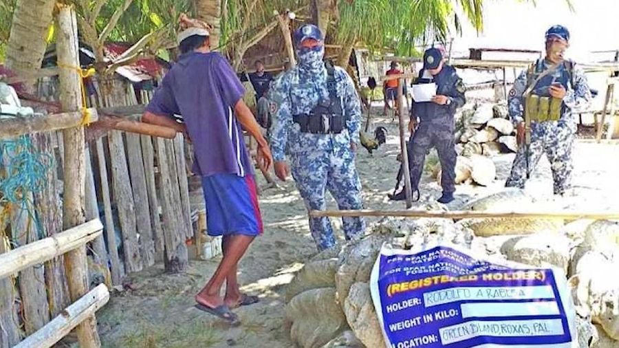 Penemuan Kerang Raksasa di Filipina (Tangkapan Layar Video via AP)