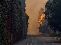 Ngeri! Begini Penampakan Kebakaran Besar di Cape Town