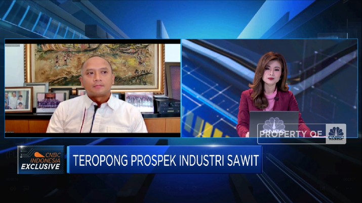Genjot Produksi , TAPG Bangun 2 Pabrik Sawit Baru di Kalteng (CNBC Indonesia TV)