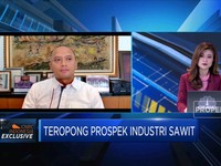 Bos Sawit Masih Cuan, Laba Bersih TAPG Tahun Lalu Naik 27%