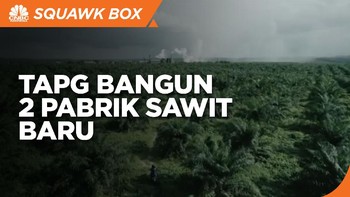 Genjot Produksi, Triputra Agro Bangun 2 Pabrik Sawit Baru