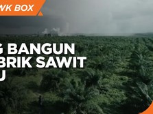 Genjot Produksi, Triputra Agro Bangun 2 Pabrik Sawit Baru