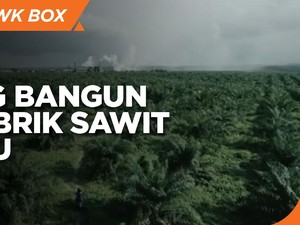 Genjot Produksi, Triputra Agro Bangun 2 Pabrik Sawit Baru