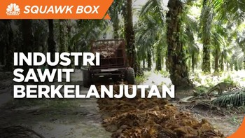 Replanting, Strategi Bangun Industri Sawit Berkelanjutan