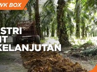 Replanting, Strategi Bangun Industri Sawit Berkelanjutan
