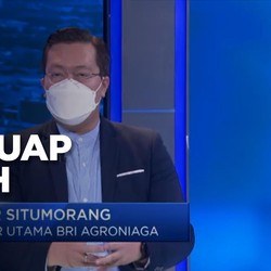 Bos BRI Agro Buka-bukaan Soal Tantangan Besar di Bank Digital