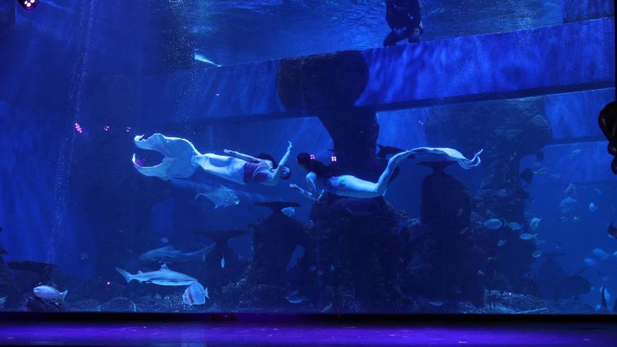 Penyelam menyapa pengunjung di Jakarta Aquarium dan Safari di Jakarta, Rabu (21/4/2021).  (CNBC Indonesia/Tri Susilo)