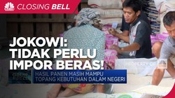 Stok Aman, Jokowi Pede RI Tidak Akan Impor Beras