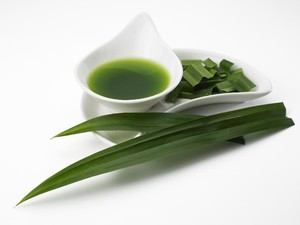 Manfaat Daun Suji untuk Makanan dan Bedanya dengan Daun Pandan
