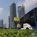 Deretan Wilayah PPKM yang Berlakukan Ganjil Genap, Simak!