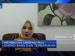 Bos Pertamina:Keekonomian Jadi Persoalan di Energi Geothermal