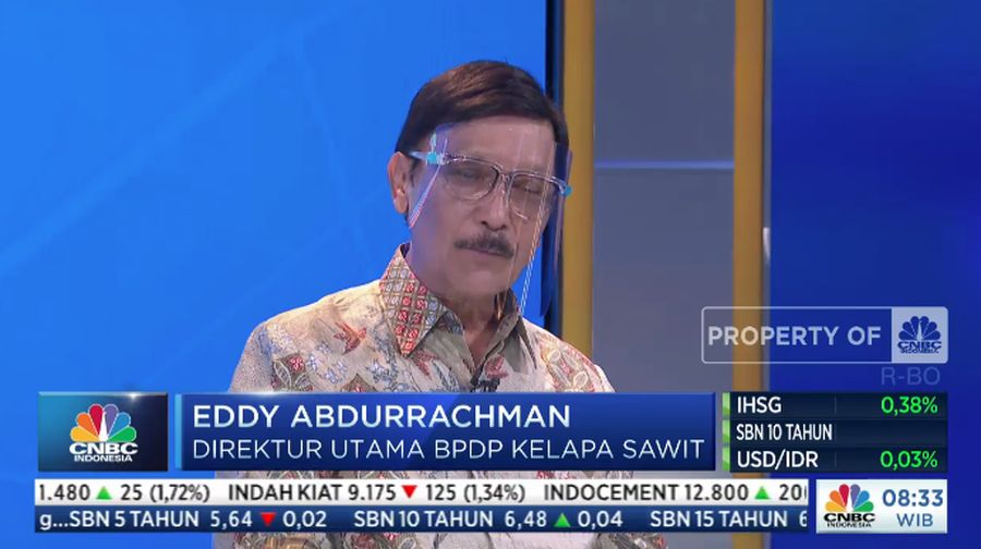 Direktur Utama BPDP Kelapa Sawit, Eddy Abdurrachman dalam acara New Energy Conference dengan Tema 
