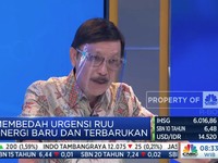 BPDPKS: Kenaikan Harga CPO Jadi Tantangan di Biodiesel