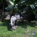 Penampakan TMII yang tak Terawat di Tengah Pandemi Covid-19