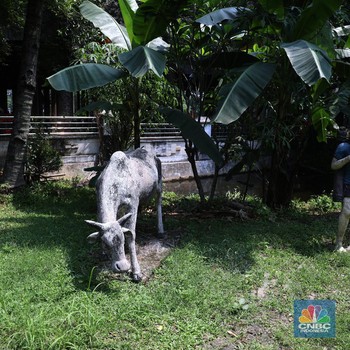 Penampakan TMII yang tak Terawat di Tengah Pandemi Covid-19