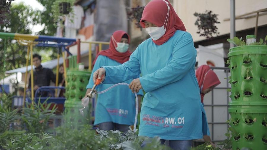 Program “BRI Peduli Woman Comuni-Tree” berupa pemberian bantuan urban farming  (Dok. BRI)
