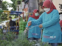 BRI Peduli Bantu Urban Farming di 18 Lokasi di Indonesia
