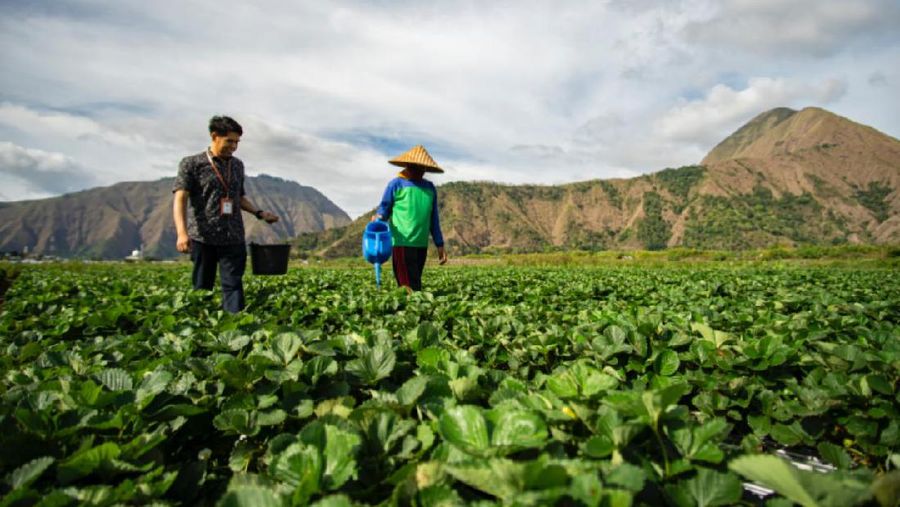 Hasil Survei Aktivitas Bisnis UMKM pada kuartal I-2021 mengindikasikan kegiatan usaha UMKM semakin membaik dibandingkan dengan kuartal sebelumnya. (Dok. BRI)