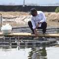Siap-siap! KKP Atur Penangkapan Terukur Mulai 1 Januari 2022