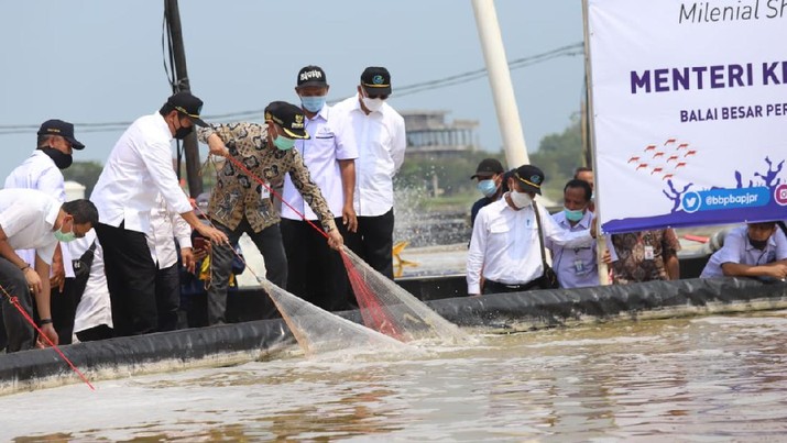 Menteri Kelautan dan Perikanan Sakti Wahyu Trenggono mengunjungi Balai Besar Perikanan Budidaya Air Payau (BBPBAP) Jepara, Kamis (29/4/2021). (dok. KKP)