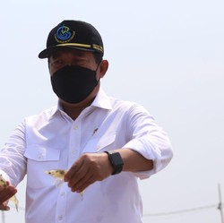 Laut Jawa Makin 'Merah', Menteri KKP Tegaskan Larang Cantrang