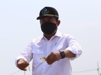 Ssst..Ada Harta Karun Nih di Laut RI, Potensinya Rp 6 T