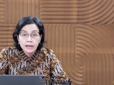 Terungkap, Alasan Sri Mulyani Tak Beri Tukin Bareng THR PNS