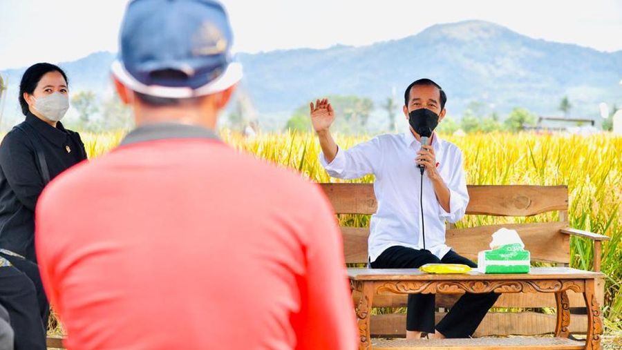 Presiden Joko Widodo secara langsung meninjau panen dan tanam padi di Desa Kanigoro, Kecamatan Pagelaran, Kabupaten Malang, dalam kunjungan kerjanya di Provinsi Jawa Timur pada Kamis, 29 April 2021.  (Biro Pers Sekretariat Presiden/Laily Rachev)