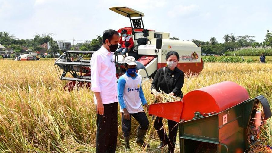 Presiden Joko Widodo secara langsung meninjau panen dan tanam padi di Desa Kanigoro, Kecamatan Pagelaran, Kabupaten Malang, dalam kunjungan kerjanya di Provinsi Jawa Timur pada Kamis, 29 April 2021.  (Biro Pers Sekretariat Presiden/Laily Rachev)