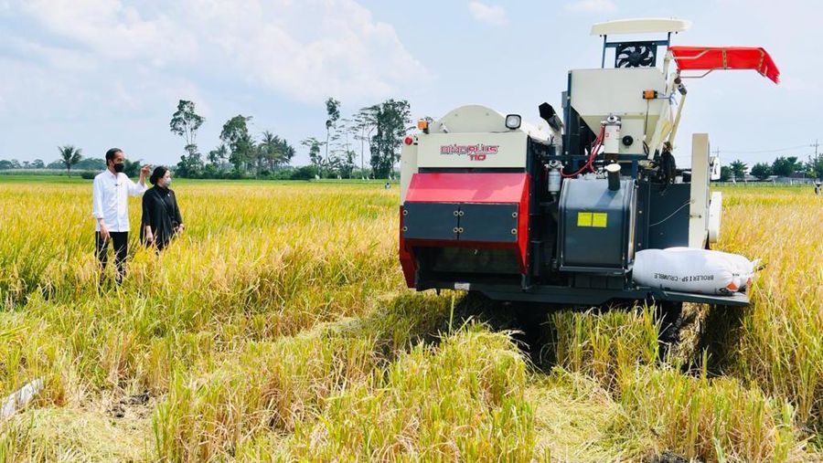 Presiden Joko Widodo secara langsung meninjau panen dan tanam padi di Desa Kanigoro, Kecamatan Pagelaran, Kabupaten Malang, dalam kunjungan kerjanya di Provinsi Jawa Timur pada Kamis, 29 April 2021. (Biro Pers Sekretariat Presiden/Laily Rachev)