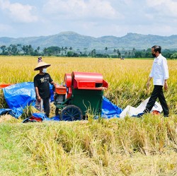 Di Malang, Jokowi: Kita tidak Perlu yang Namanya Impor Beras!