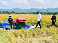 Di Malang, Jokowi: Kita tidak Perlu yang Namanya Impor Beras!