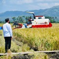 10 Lumbung Padi Nasional, Jawa Sing Ada Lawan!