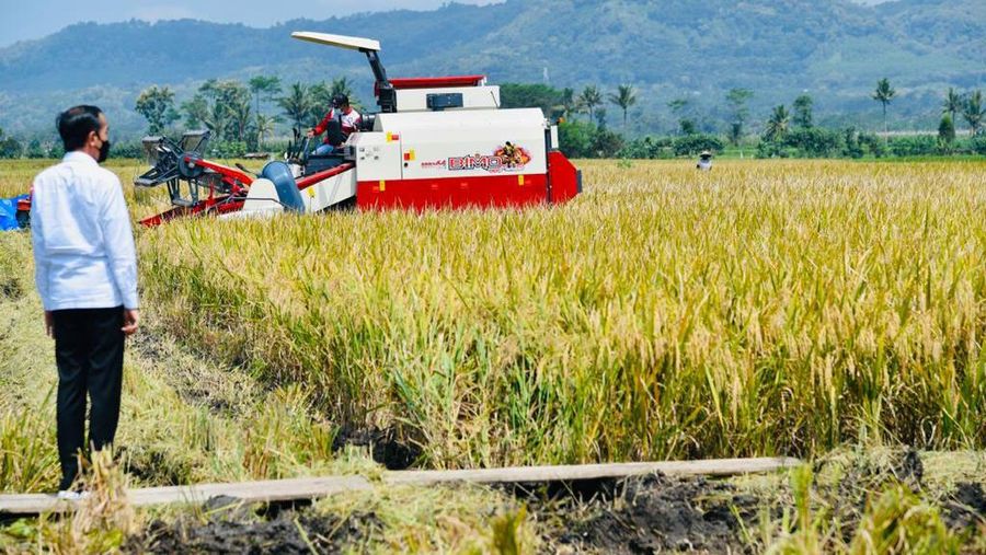 Presiden Joko Widodo secara langsung meninjau panen dan tanam padi di Desa Kanigoro, Kecamatan Pagelaran, Kabupaten Malang, dalam kunjungan kerjanya di Provinsi Jawa Timur pada Kamis, 29 April 2021.  (Biro Pers Sekretariat Presiden/Laily Rachev)