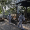 Kasus Corona Dekati 20 Juta, Apa yang Harus Dilakukan India?