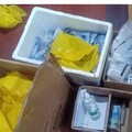 Kronologi Kasus Antigen Bekas Berujung Bos KFD Dipecat Erick