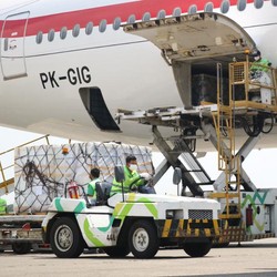 500 Ribu Dosis Vaksin Sinopharm Tiba di Indonesia
