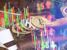 Mayoritas Kripto Loyo Lagi, Chainlink & Cardano Tampil Beda