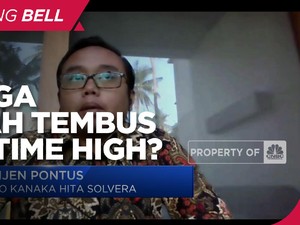 Harga Timah Berpeluang Tembus All Time High, Ini Saran Analis