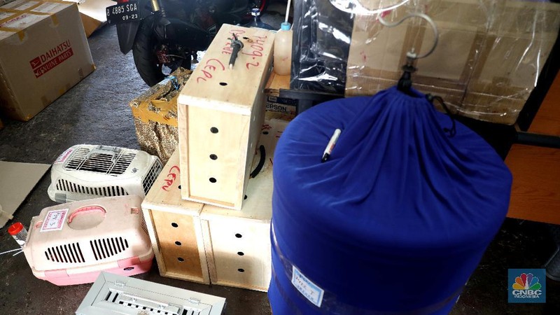 Jasa pengiriman barang angkutan Kereta Api logistik di Senen. (CNBC Indonesia/Muhammad Sabki)