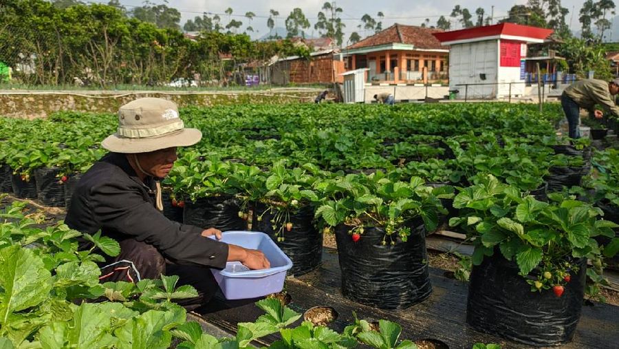 Perkuat Komitmen SDGs dan ESG, Pertamina Dorong Perekonomian di Sektor Kelembagaan Islami