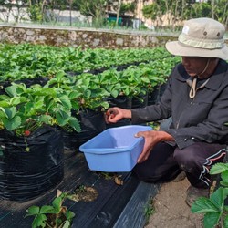 Wujudkan SDGs,  Pertamina Salurkan Bantuan ke Pesantren