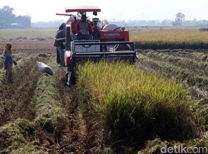 Salurkan Alsintan Modern, Kementan Bakal Kebut Proses Panen Usai Lebaran