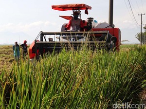 Genjot Tenaga Kerja di Sektor Pertanian, Mentan & Menaker Teken MoU