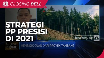Diversifikasi Bisnis Tambang Nikel, Strategi PPRE di 2021