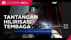 Modal Besar Jadi Tantangan Hilirisasi Sektor Tembaga