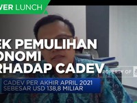 Ekonom: Pemulihan Ekonomi & Impor Pengaruhi Posisi Cadev RI